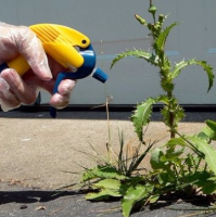 Защита от сорняков (Гербициды)