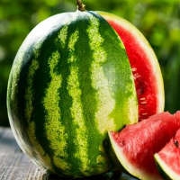 Семена арбузов