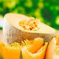 Семена дыни