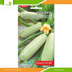 Кабачок Чаклун 3г (Флора Маркет)