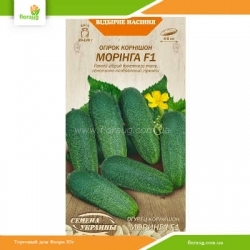 Огурец корнишон Моринга F1 0,25г (Семена Украины)