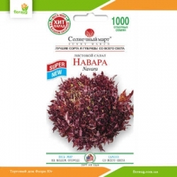 Салат листовой Навара 1000шт (Солнечный март)