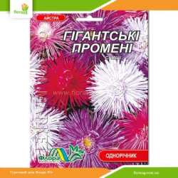 Астра Гигантские лучи смесь 0,3г (Флора Маркет)