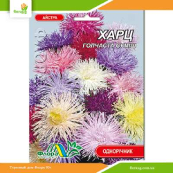 Астра игольчатая Харц смесь 0,3г (Флора Маркет)