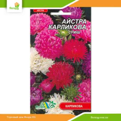 Астра Карликовая смесь 0,3г (Флора Маркет)