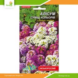 Алиссум смесь 0,1г (Флора Маркет)