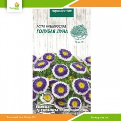 Астра низкорослая Голубая луна 0,2г (Семена Украины)