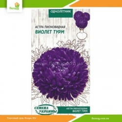 Астра пионовидная Виолет Турм 0,25г (Семена Украины)