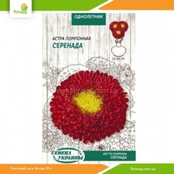 Астра Помпонная Серенада 0,25г (Семена Украины)