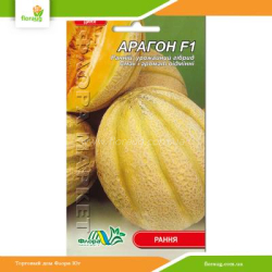Дыня Арагон F1 0,5г (Флора Маркет)
