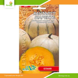 Дыня Канталуп Шаренте 10шт (Флора Маркет)
