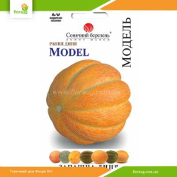 Дыня Модель 20шт (Солнечный март)