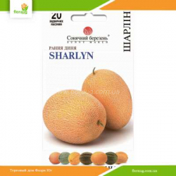 Дыня Шарлин 20шт (Солнечный март)