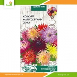 Георгина Кактусоцветная смесь 0,2г (Семена Украины)