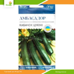 Кабачок Амбассадор 3г (Велес)