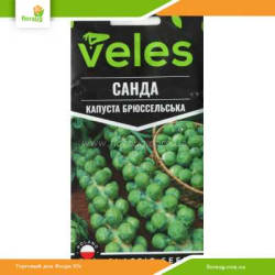 Капуста брюссельская Санда 0,5г (Велес)