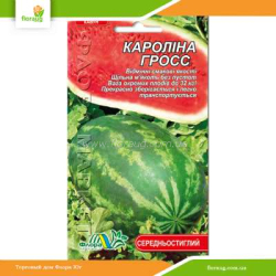 Арбуз Каролина Гросс 1г (Флора Маркет)
