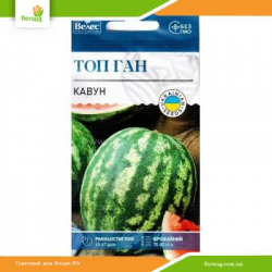 Арбуз Топ Ган 1,5г (Велес)