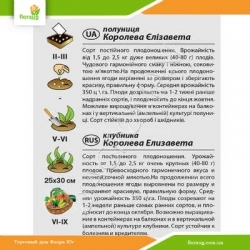 Полуниця Королева Єлизавета 0,01г (Агромаксі)