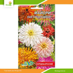 Цинния Кактусовидная смесь 0,3г (Флора Маркет)