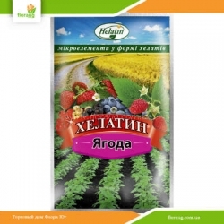 Микроэлементы Хелатин Ягода 50 мл