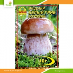 Мицелий Белый гриб Боровик 10г