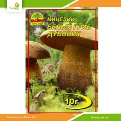 Мицелий Белый гриб Дубовик 10г