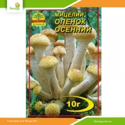 Мицелий Опенок Осенний 10г