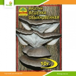 Мицелий Вешенка Обыкновенная 10г