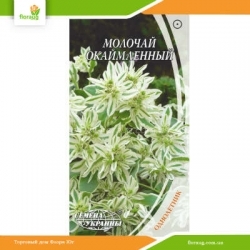 Молочай окаймленный 0,5г (Семена Украины)