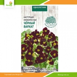 Настурция низкорослая Черный бархат 1г (Семена Украины)