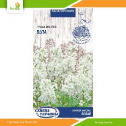 Ночная фиалка Белая 0,25г (Семена Украины)