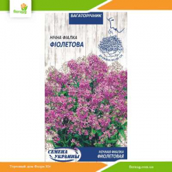 Ночная фиалка Фиолетовая 0,25г (Семена Украины)