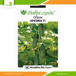 Огурец Арктика F1 10шт (Добрі сходи)