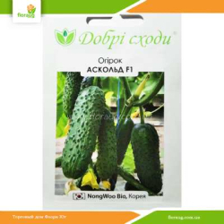 Огурец Аскольд F1 10шт (Добрі сходи)
