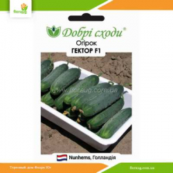 Огурец Гектор F1 20шт (Добрі сходи)