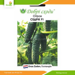 Огурец Седрик F1 10шт (Добрі сходи)