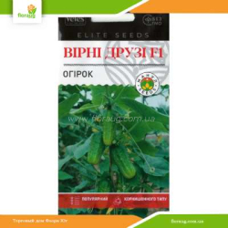 Огурец Верные друзья F1 10шт (Велес)