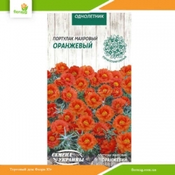Портулак махровый оранжевый 0,1г (Семена Украины)