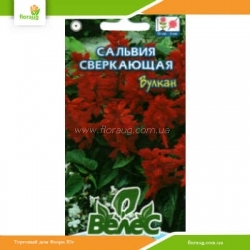 Сальвия сверкающая Вулкан 0,2г (Велес)