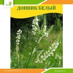 Семена Донник белый 100г