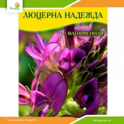 Семена люцерны Надежда (магниченная) 100г