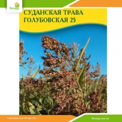 Семена суданской травы Голубовская 25 (трехцветная) 100г