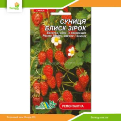 Земляника Блеск звезд 0,03г (Флора Маркет)