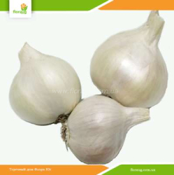 Лук Шалот (кущевка) Вайт Квин 500г