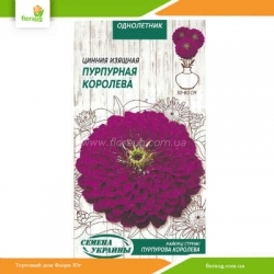 Цинния изящная Пурпурная королева 0,5г (Семена Украины)