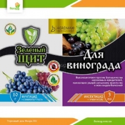 Зеленый щит для винограда 10 г + 3 мл (Агромакси)
