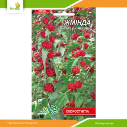 Жминда (шпинат земляничный) 0,1г (Флора Маркет)