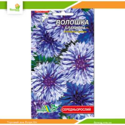 Василек Голубой 0,25г (Флора Маркет)