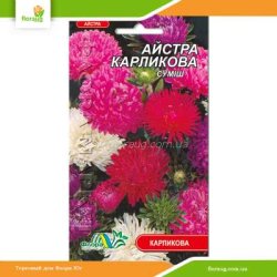 Астра Карликовая смесь 0,3г (Флора Маркет)